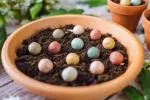 Blossombs Seed Bombs - Mini zestaw upominkowy (4 szt.) - oryginalny i praktyczny prezent w jednym