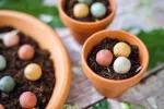 Blossombs Seed Bombs - Mini zestaw upominkowy (4 szt.) - oryginalny i praktyczny prezent w jednym