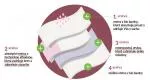 Organyc Majtki menstruacyjne z bawełny organicznej - bardzo chłonne XL