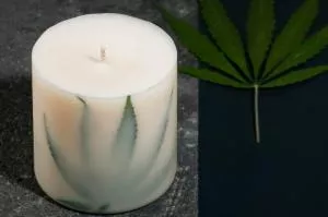 TL Candles Świeca sojowa o zapachu szałwii XL
