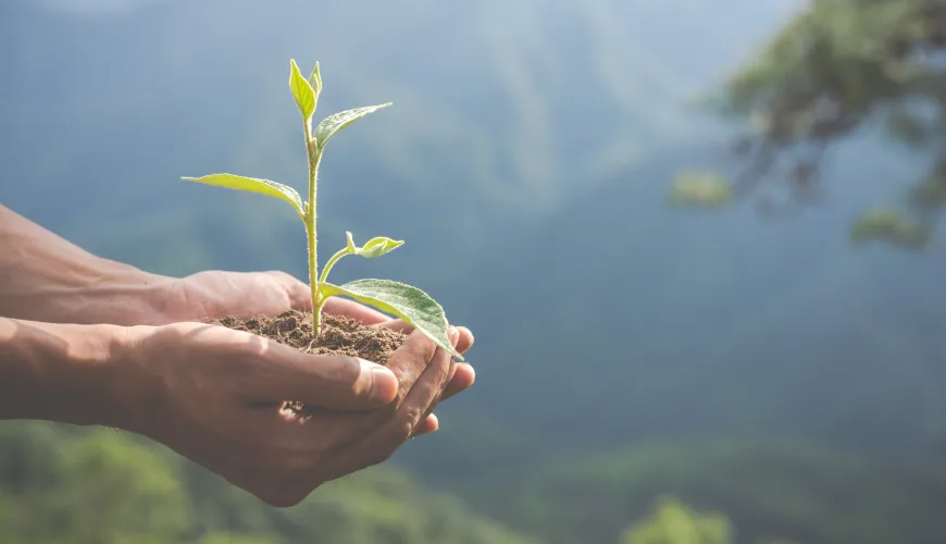 Co to jest greenwashing i jak ho rozpoznat